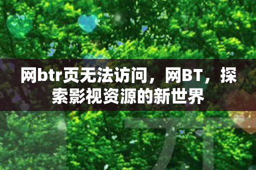 网btr页无法访问，网BT，探索影视资源的新世界
