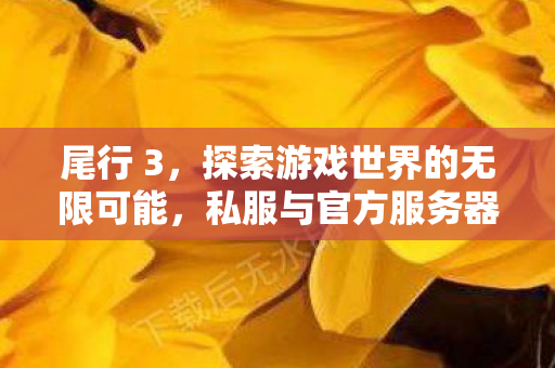 尾行 3，探索游戏世界的无限可能，私服与官方服务器的独特魅力