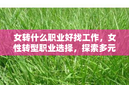 女转什么职业好找工作,女性转型职业选择,探索多元发展路径 女转什么职业好找工作,女性转型职业选择,探索多元发展路径