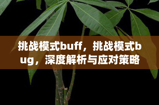 挑战模式buff，挑战模式bug，深度解析与应对策略
