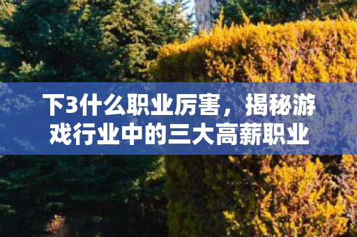 下3什么职业厉害，揭秘游戏行业中的三大高薪职业