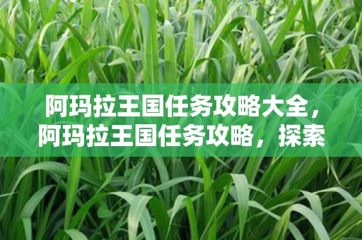 阿玛拉王国任务攻略大全，阿玛拉王国任务攻略，探索未知，解锁成就