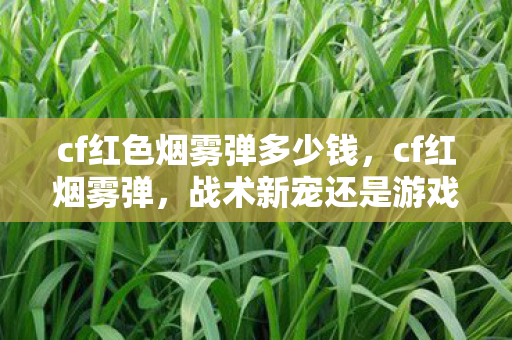cf红色烟雾弹多少钱，cf红烟雾弹，战术新宠还是游戏平衡的挑战？