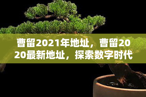 曹留2021年地址，曹留2020最新地址，探索数字时代的文化新地标