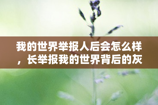 我的世界举报人后会怎么样，长举报我的世界背后的灰色产业链
