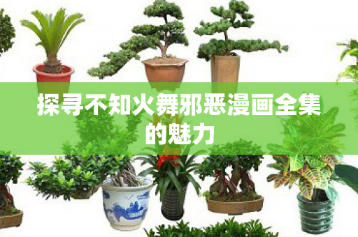探寻不知火舞邪恶漫画全集的魅力
