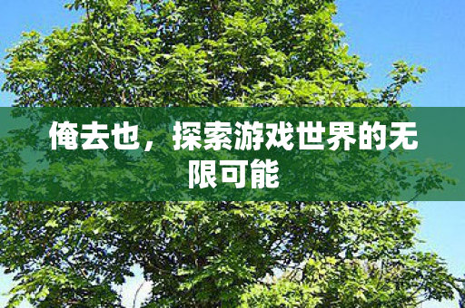 俺去也，探索游戏世界的无限可能