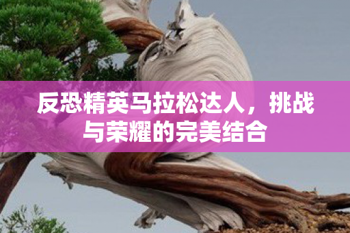 反恐精英马拉松达人，挑战与荣耀的完美结合