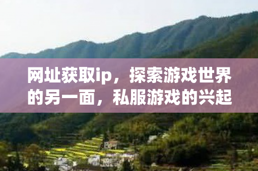 网址获取ip，探索游戏世界的另一面，私服游戏的兴起与影响
