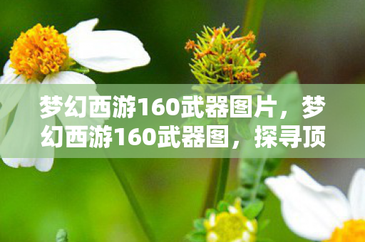 梦幻西游160武器图片，梦幻西游160武器图，探寻顶级装备的魅力