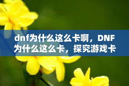dnf为什么这么卡啊，DNF为什么这么卡，探究游戏卡顿的深层原因