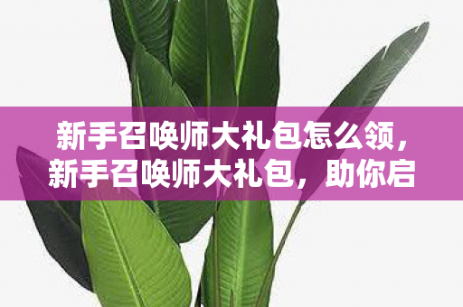 新手召唤师大礼包怎么领，新手召唤师大礼包，助你启程，畅游奇幻世界