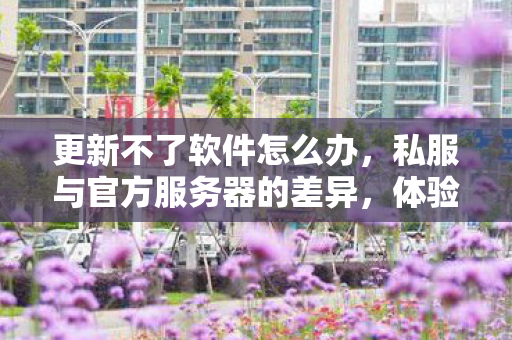 更新不了软件怎么办，私服与官方服务器的差异，体验与稳定性分析