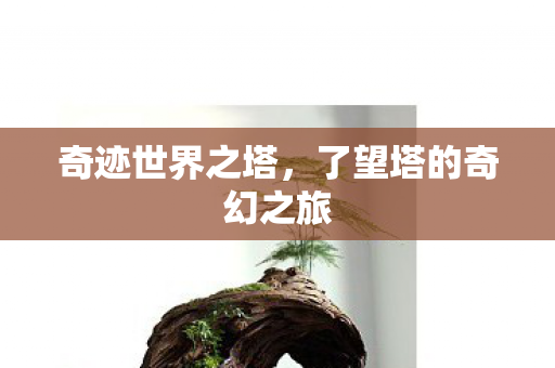 奇迹世界之塔，了望塔的奇幻之旅