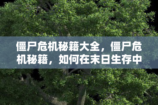 僵尸危机秘籍大全，僵尸危机秘籍，如何在末日生存中成为最强王者