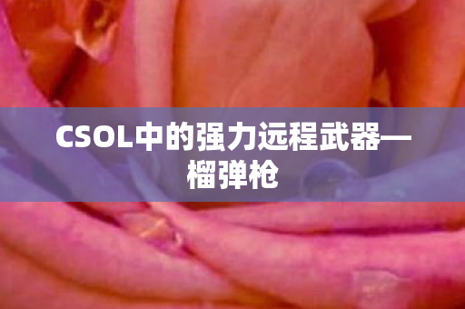 CSOL中的强力远程武器—榴弹枪 CSOL中的强力远程武器—榴弹枪
