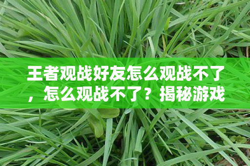 王者观战好友怎么观战不了，怎么观战不了？揭秘游戏观战功能的限制与解决方案