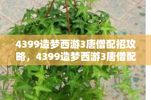 4399造梦西游3唐僧配招攻略，4399造梦西游3唐僧配招策略
