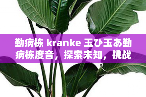 勤病栋 kranke 玉ひ玉あ勤病栋度音，探索未知，挑战自我