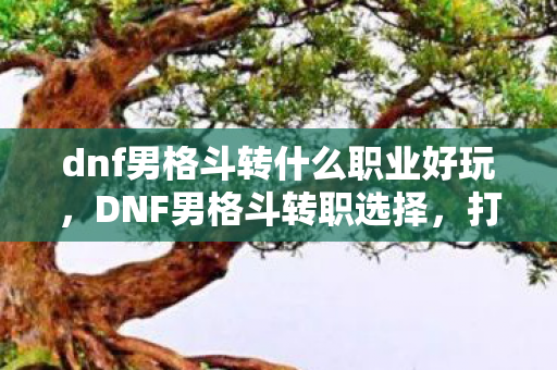 dnf男格斗转什么职业好玩，DNF男格斗转职选择，打造最强战斗力的职业转型指南
