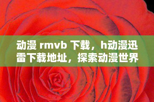 动漫 rmvb 下载，h动漫迅雷下载地址，探索动漫世界的无限可能