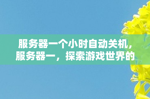服务器一个小时自动关机，服务器一，探索游戏世界的无限可能