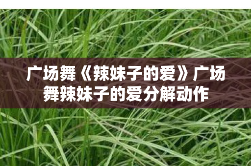 广场舞《辣妹子的爱》广场舞辣妹子的爱分解动作