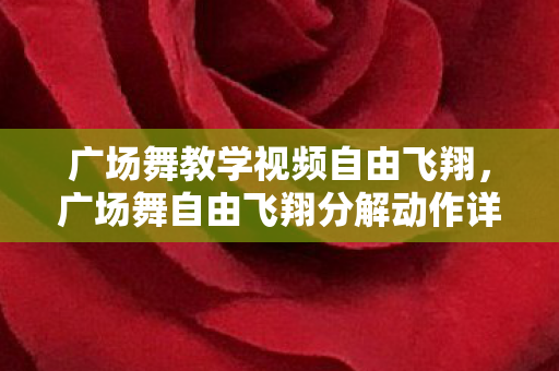 广场舞教学视频自由飞翔，广场舞自由飞翔分解动作详解