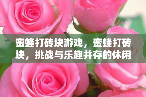 蜜蜂打砖块游戏，蜜蜂打砖块，挑战与乐趣并存的休闲游戏