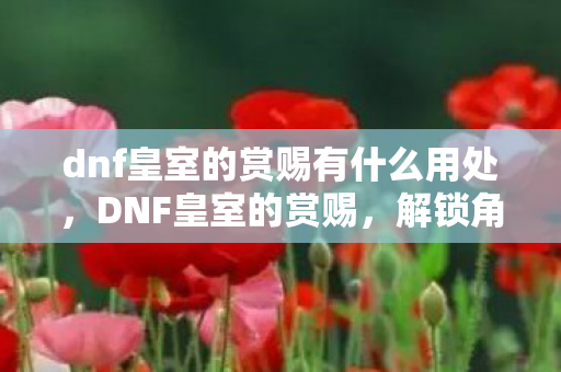 dnf皇室的赏赐有什么用处，DNF皇室的赏赐，解锁角色新境界的钥匙