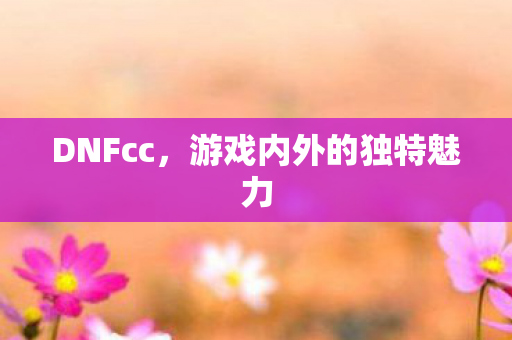 DNFcc，游戏内外的独特魅力