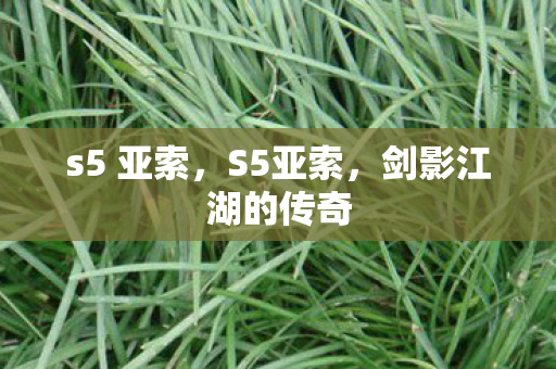 s5 亚索，S5亚索，剑影江湖的传奇