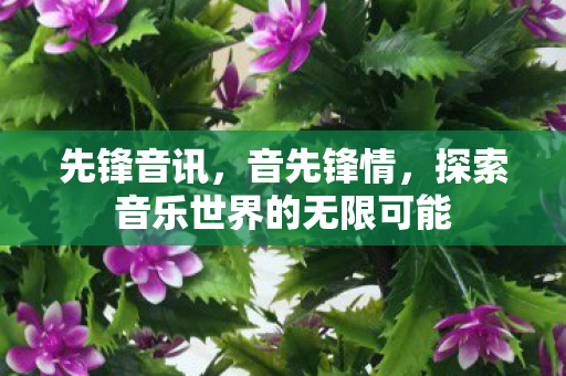 先锋音讯，音先锋情，探索音乐世界的无限可能