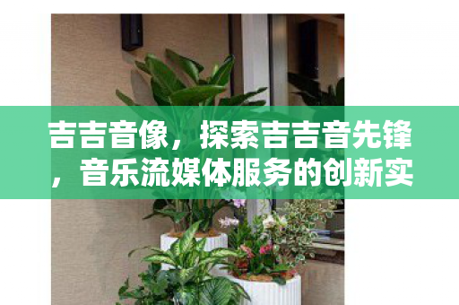 吉吉音像，探索吉吉音先锋，音乐流媒体服务的创新实践