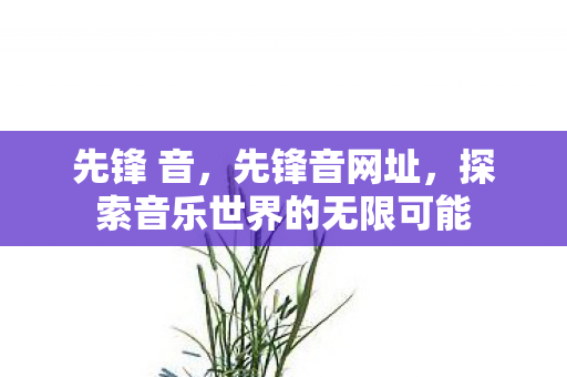 先锋 音，先锋音网址，探索音乐世界的无限可能