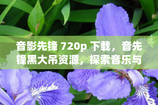 音影先锋 720p 下载，音先锋黑大吊资源，探索音乐与娱乐的无限可能