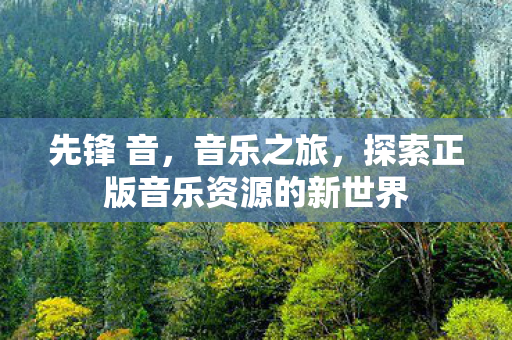先锋 音，音乐之旅，探索正版音乐资源的新世界