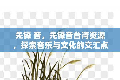 先锋 音，先锋音台湾资源，探索音乐与文化的交汇点