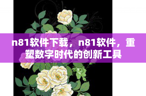 n81软件下载，n81软件，重塑数字时代的创新工具
