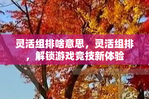 灵活组排啥意思，灵活组排，解锁游戏竞技新体验