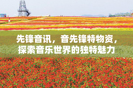 先锋音讯，音先锋特物资，探索音乐世界的独特魅力