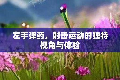 左手弹药，射击运动的独特视角与体验