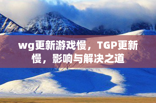 wg更新游戏慢，TGP更新慢，影响与解决之道