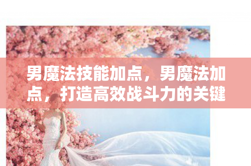 男魔法技能加点，男魔法加点，打造高效战斗力的关键