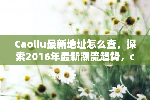 Caoliu最新地址怎么查，探索2016年最新潮流趋势，caoliu的时尚版图