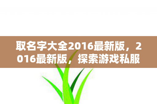 取名字大全2016最新版，2016最新版，探索游戏私服的多元魅力与玩家心声