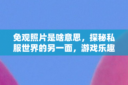 免观照片是啥意思，探秘私服世界的另一面，游戏乐趣与社区文化的独特魅力
