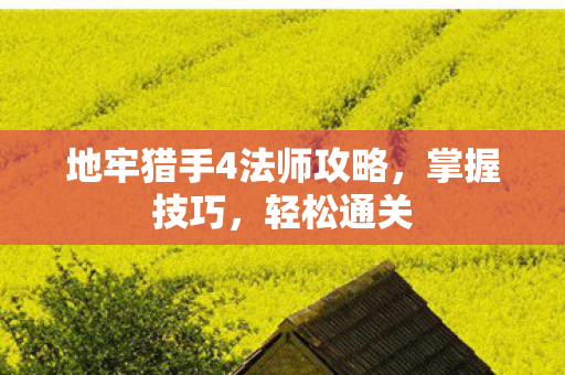 地牢猎手4法师攻略，掌握技巧，轻松通关