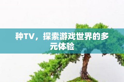 种TV，探索游戏世界的多元体验
