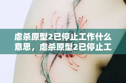 虐杀原型2已停止工作什么意思，虐杀原型2已停止工作，深度解析游戏停止运行的背后原因